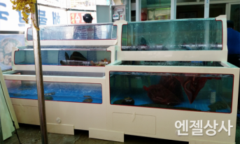 3단 어패류 수조